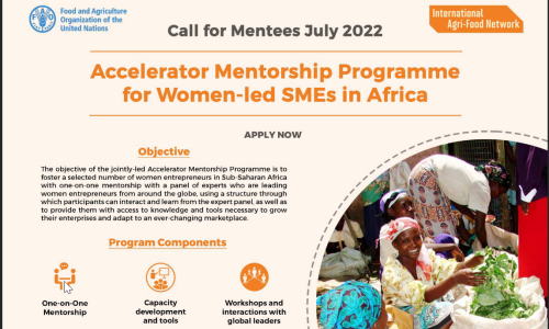 Accelerator Mentorship Programme for Women-led SMEs in Africa