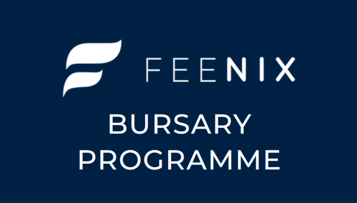 Feenix 2022 Graduate Bursary Programme