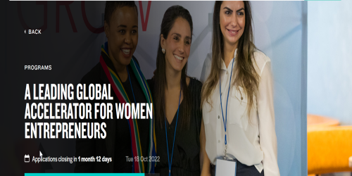 VV GROW Fellowship Global Accelerator Program for Women Entrepreneurs